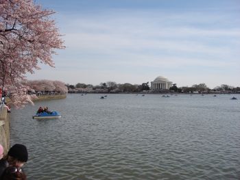 Washingon D.C.